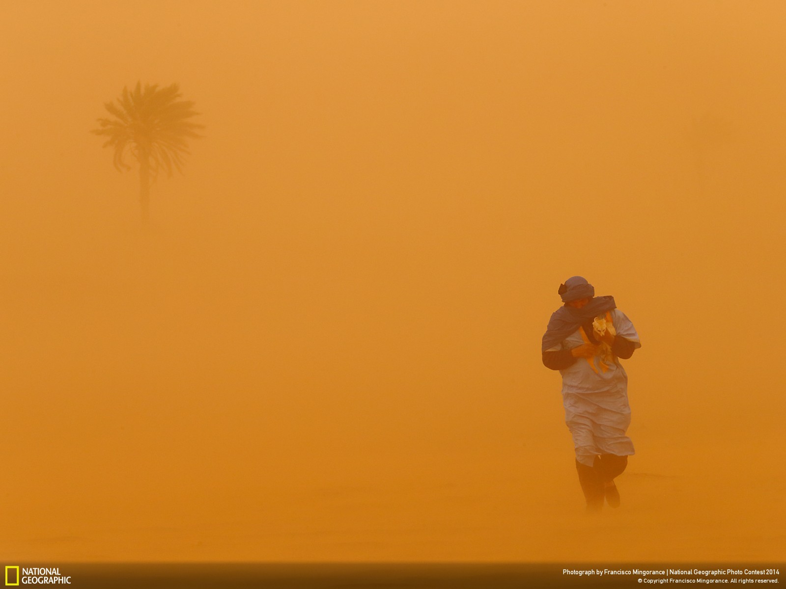 The Best Pictures From National Geographic’s Photo Contest 2014