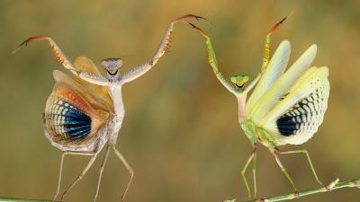 The Best Pictures From National Geographic’s Photo Contest 2014