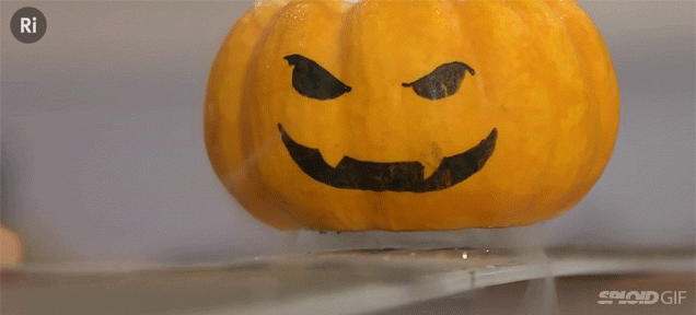 This Levitating Pumpkin Is The Best Jack O’ Lantern