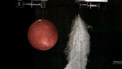 Watch A Feather And A Bowling Ball Fall At The Exact Same Speed