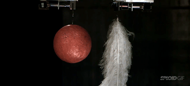 Watch A Feather And A Bowling Ball Fall At The Exact Same Speed