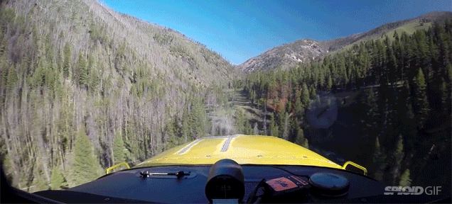 Pilot Lands Aeroplane In The Middle Of A Forest Way Up In The Mountains