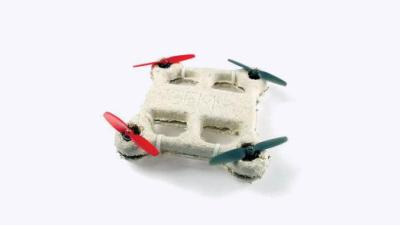Drones Made Out Of Mushrooms Will Decompose When They Crash-Land