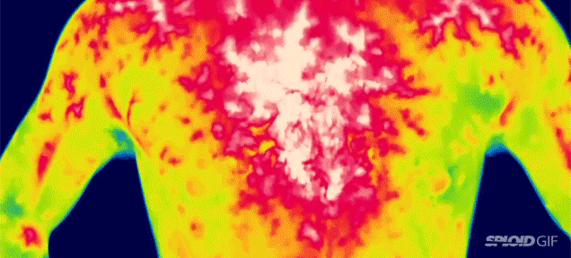 What Everyday Life Looks Like Under A Heat-Detecting Camera (NSFW)