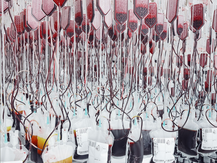 Inside The Blood Factory That Keeps Track Of The World’s Rare Donors