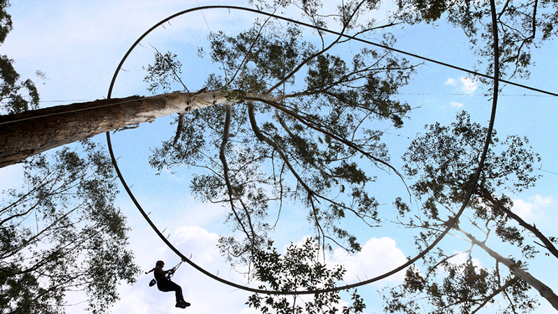 Australia Has World’s Longest Zipline Roller Coaster, And It Looks Terrifyingly Awesome