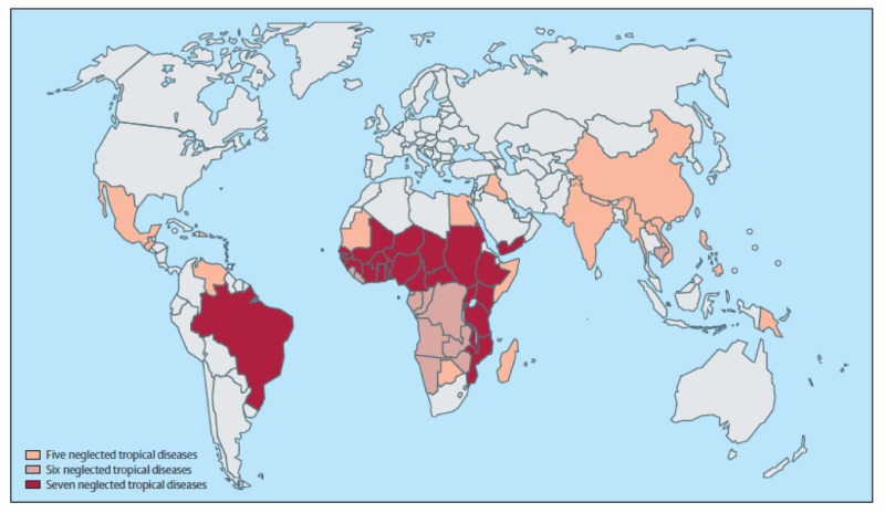 Why ‘Neglected Diseases’ Are Becoming A Global Danger