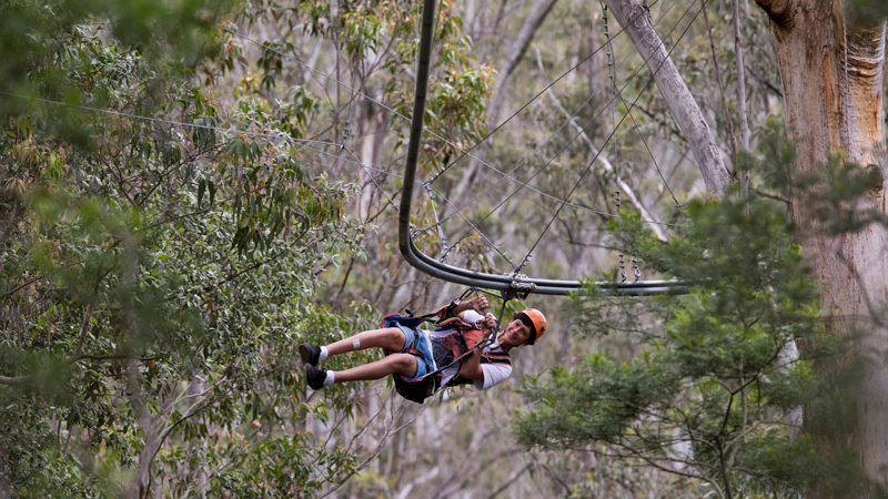 Australia Has World’s Longest Zipline Roller Coaster, And It Looks Terrifyingly Awesome
