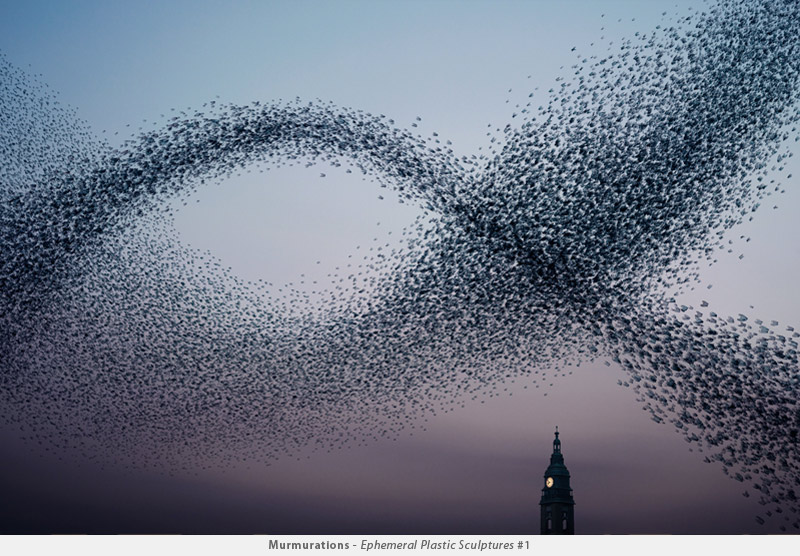 Photographer Transforms Plastic Bags Into Beautiful Bird Flocks