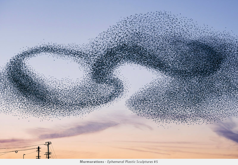 Photographer Transforms Plastic Bags Into Beautiful Bird Flocks