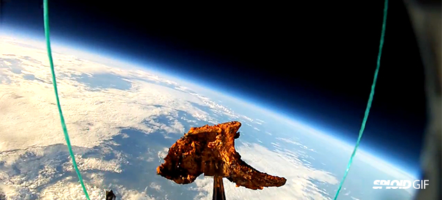 Watch These Humans Launch A Lamb Chop To Space Because Why Not