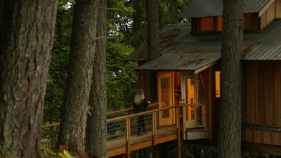 Adults Who Live In Treehouses Aren’t As Weird As You Might Think