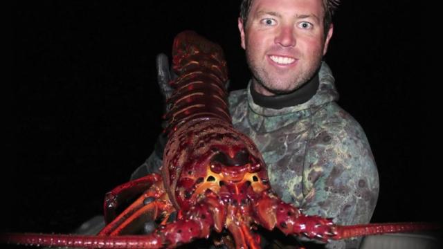Biologist Catches Monster 70-Year-Old Lobster