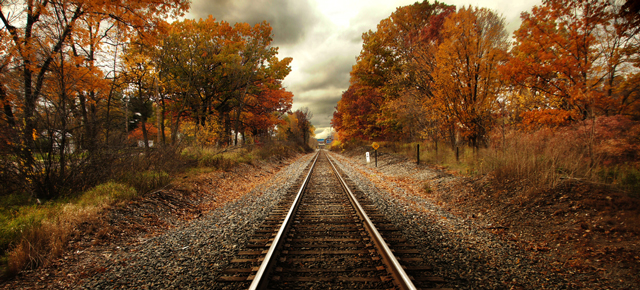 Trains Could Get Lasers To Burn Slippery Wet Leaves Off The Tracks