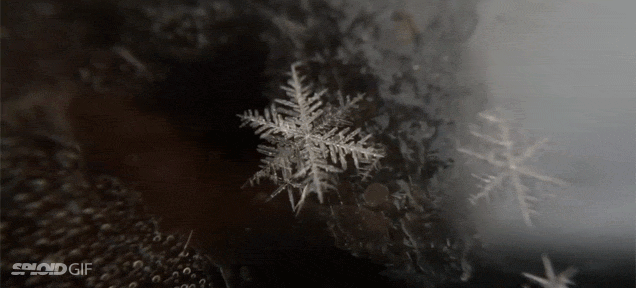 Clever Video Shows How A Snowflake Gets Formed