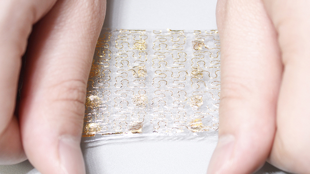 This Artificial Skin Can Feel Pressure, Heat and Dampness