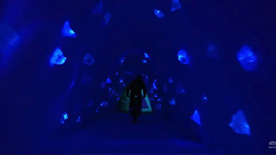 Riding A Motorcycle In This Ice Cave Looks Like Exploring An Alien World