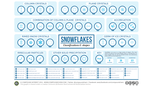 The Different Types Of Snowflake, Visualised