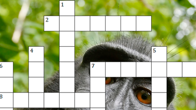 Here’s A Festive Crossword Puzzle About 2014’s IP And Copyright News