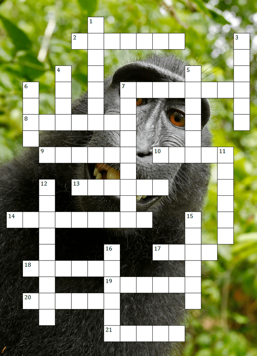 Here’s A Festive Crossword Puzzle About 2014’s IP And Copyright News