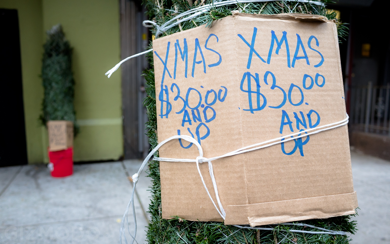 Photo Essay: NYC’s Incredible Christmas Tree Seller Subculture