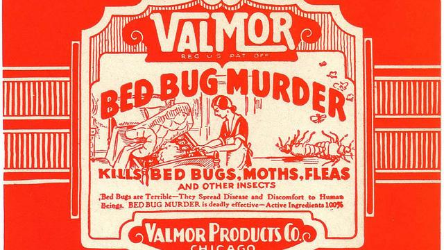 The Best Weapon To Trap And Kill Bed Bugs Is Hidden In Our Blood 
