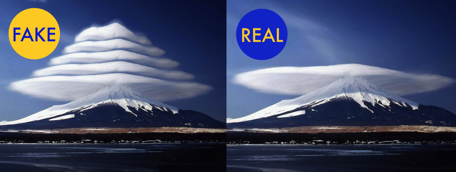 86 Viral Images From 2014 That Were Totally Fake
