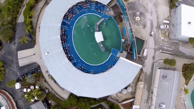 A Drone’s-Eye View Of The Smallest, Saddest WhaleTank In The US