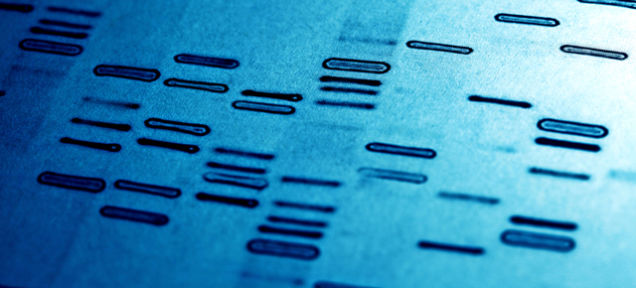 The Future Of Criminal DNA Collection In 2015