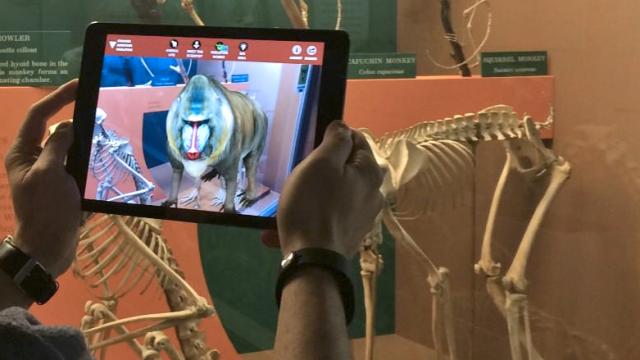The Smithsonian’s New App Brings Museum Skeletons And Fossils To Life