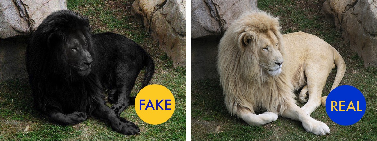 12 More Viral Photos That Are Actually Fake