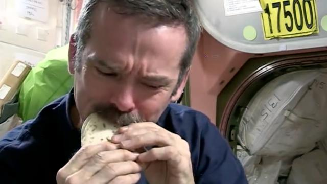 Why Astronauts Eat Tortillas In Space, Explained In One Comic