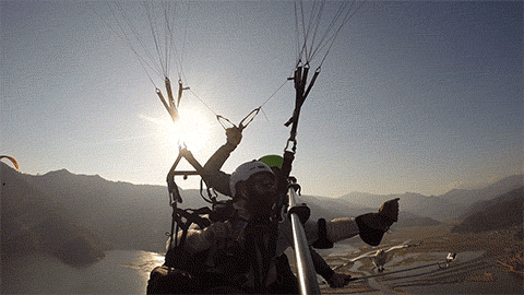 Parahawking: An Actual Sport That Mixes Paragliding And GIANT BIRDS