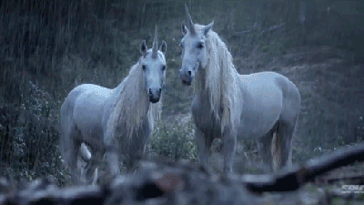 This Ad Explains Why Unicorns Disappeared