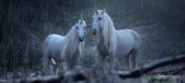 This Ad Explains Why Unicorns Disappeared