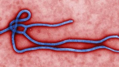 How Will The Ebola Epidemic End?
