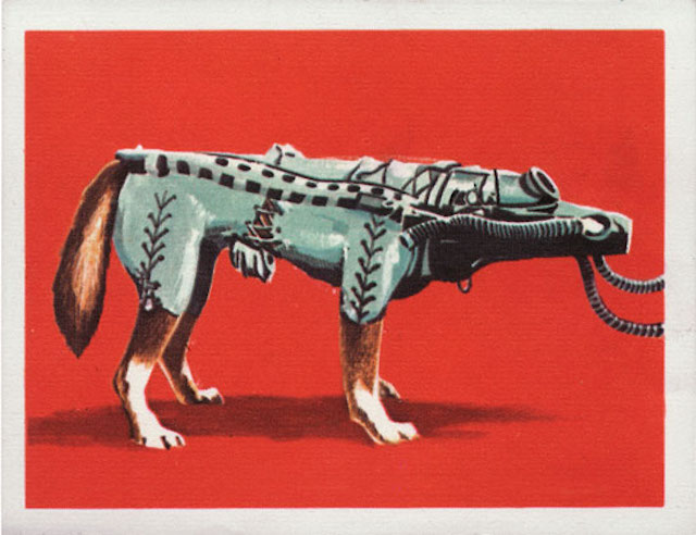 That Time Soviet Russia Sent Dogs Into Space