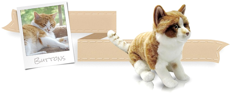 This Site Will Make A Stuffed Animal Clone Of Your Pet