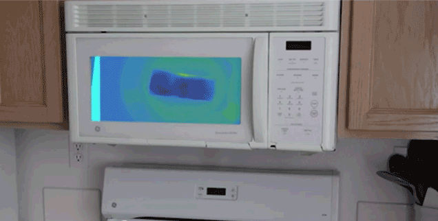 Infrared Microwave Shows Your Food Change Colour As It Heats Up