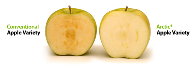 The US Just Approved Its First GMO Apple, Which Doesn’t Turn Brown 