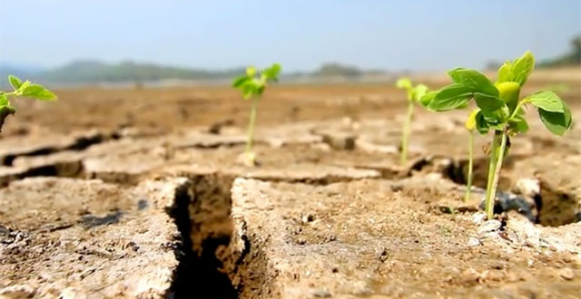 NASA Warns That This Century Could See Crippling Droughts