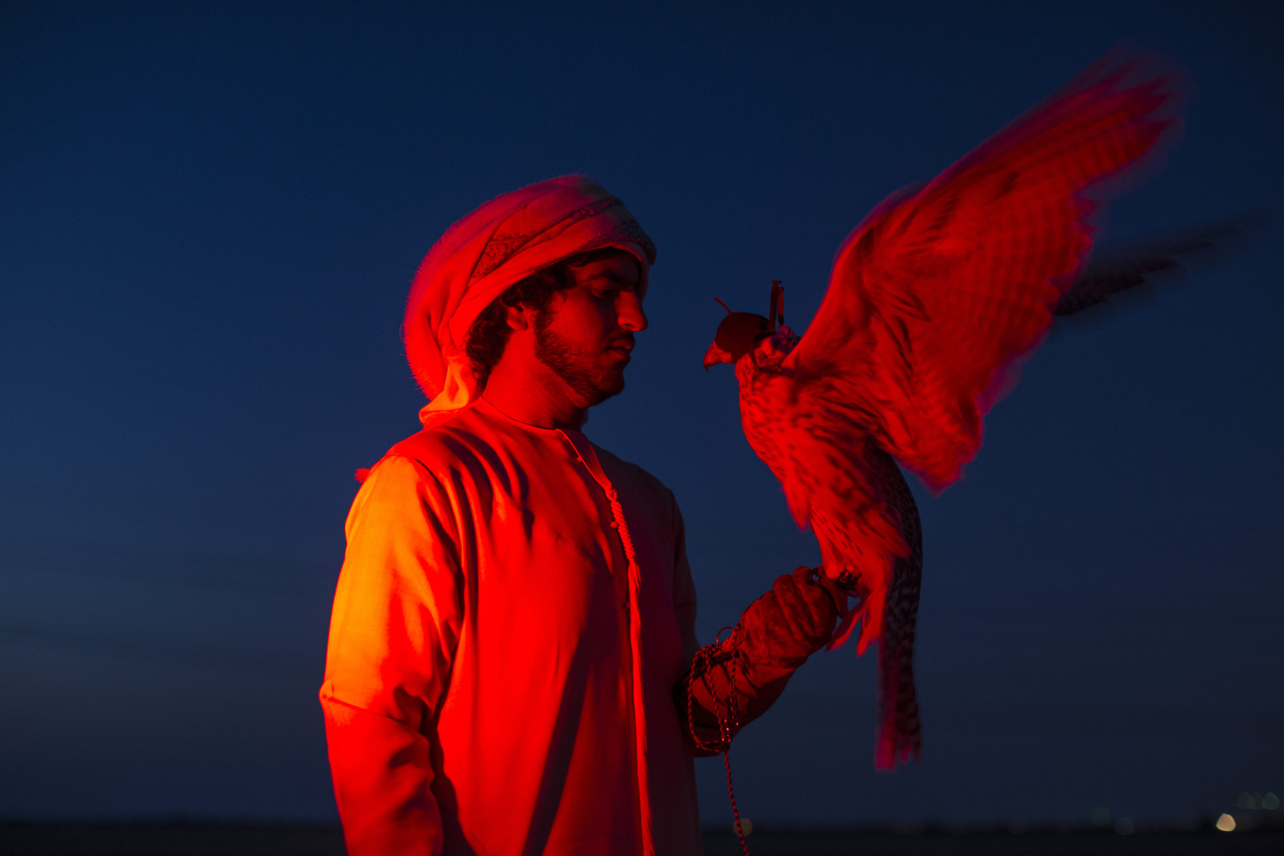 Falconers In Abu Dhabi Train Their Raptors With Drones