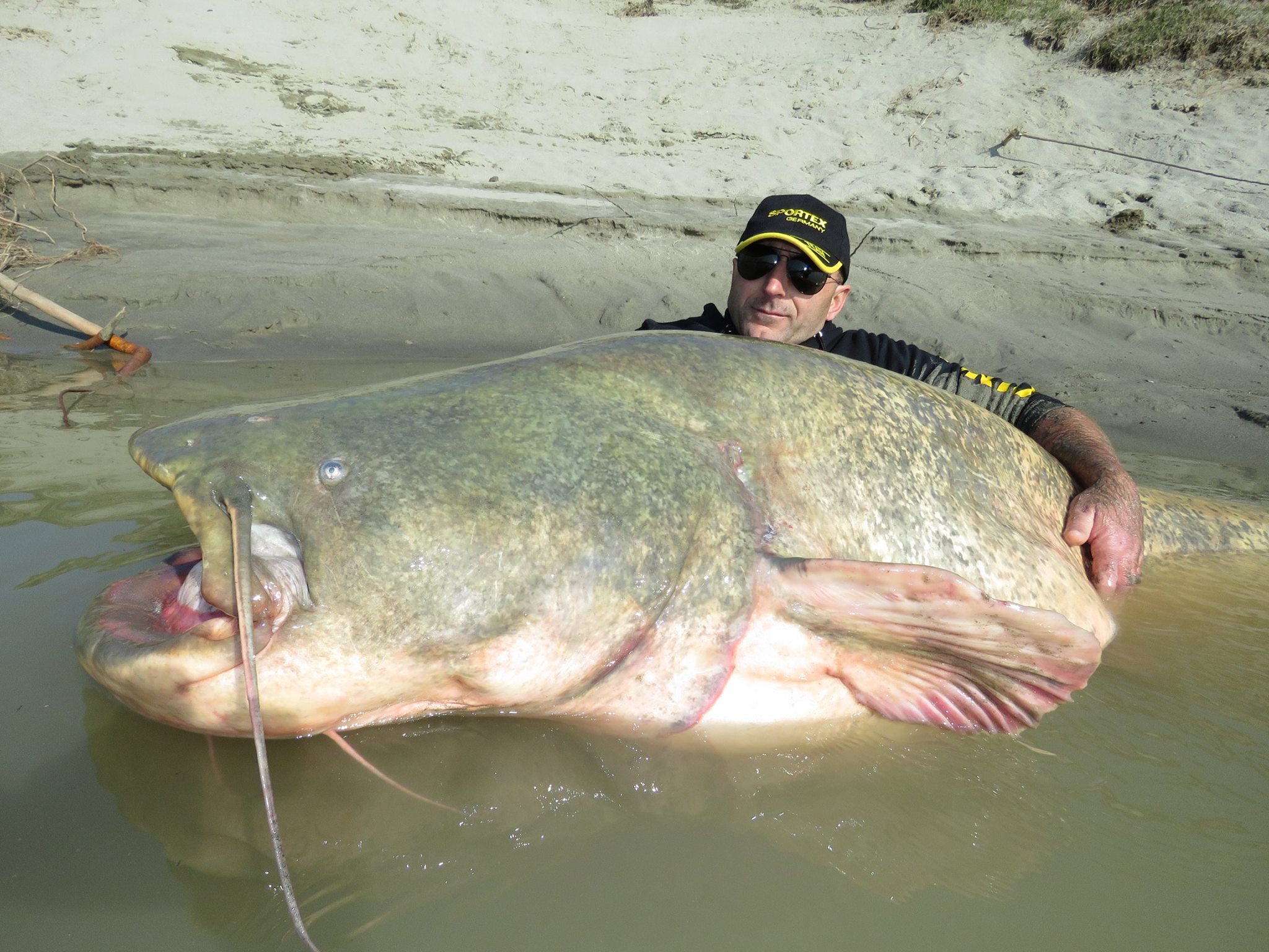 Monster 127kg Catfish Caught In Italy