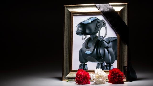 Japan Is Holding Actual Funerals For Sony’s Robotic AIBO Dogs
