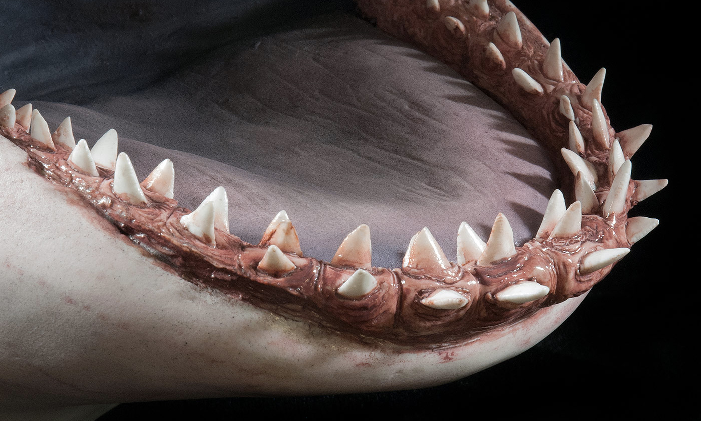 You Can Customise The Level Of Gore Detail On This Jaws Shark Bust