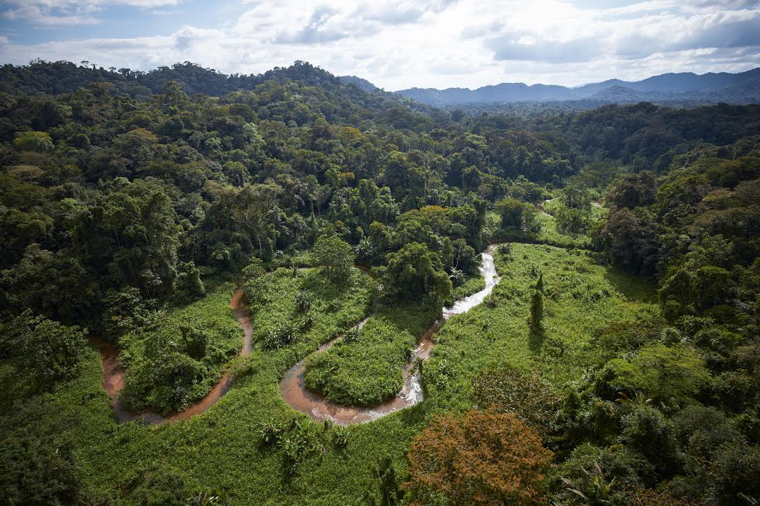 Found: A Legendary Lost Civilisation Buried In The Honduran Rainforest
