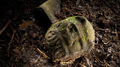 Found: A Legendary Lost Civilisation Buried In The Honduran Rainforest