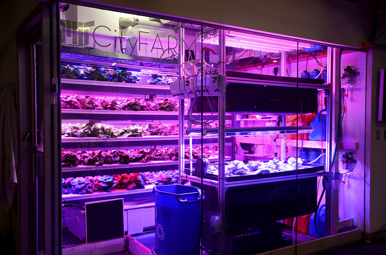 The High-Tech Farms Where Our Future Food Will Grow In Nothing But Air