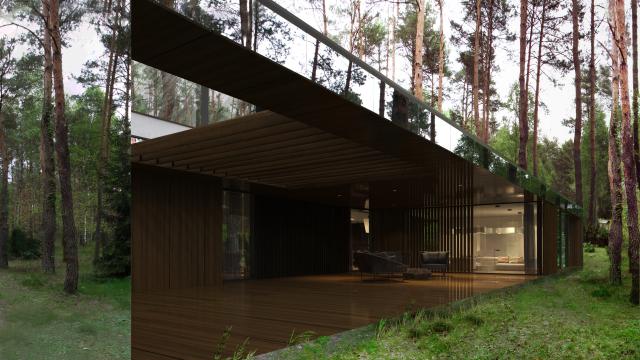 This Mirror House Vanishes Into The Forest