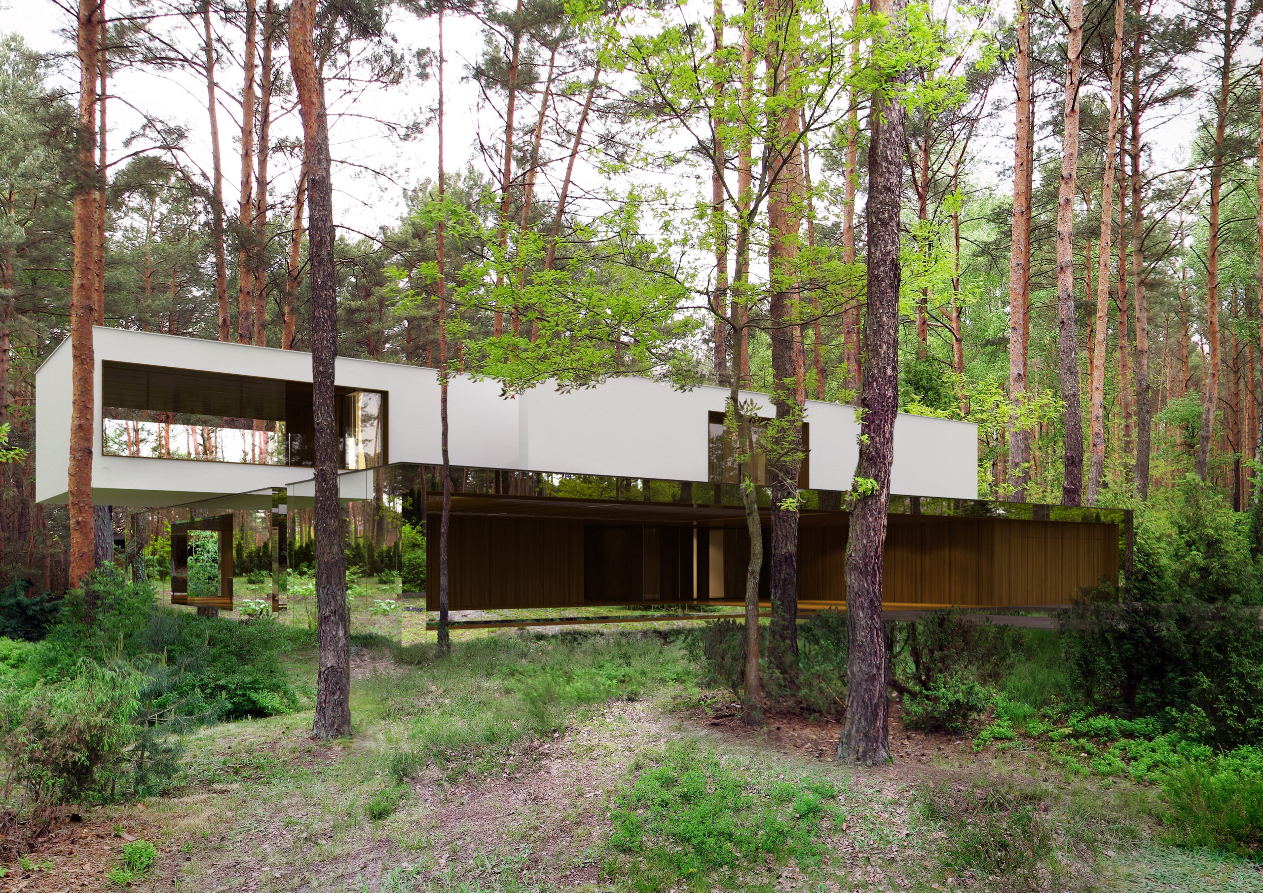 This Mirror House Vanishes Into The Forest